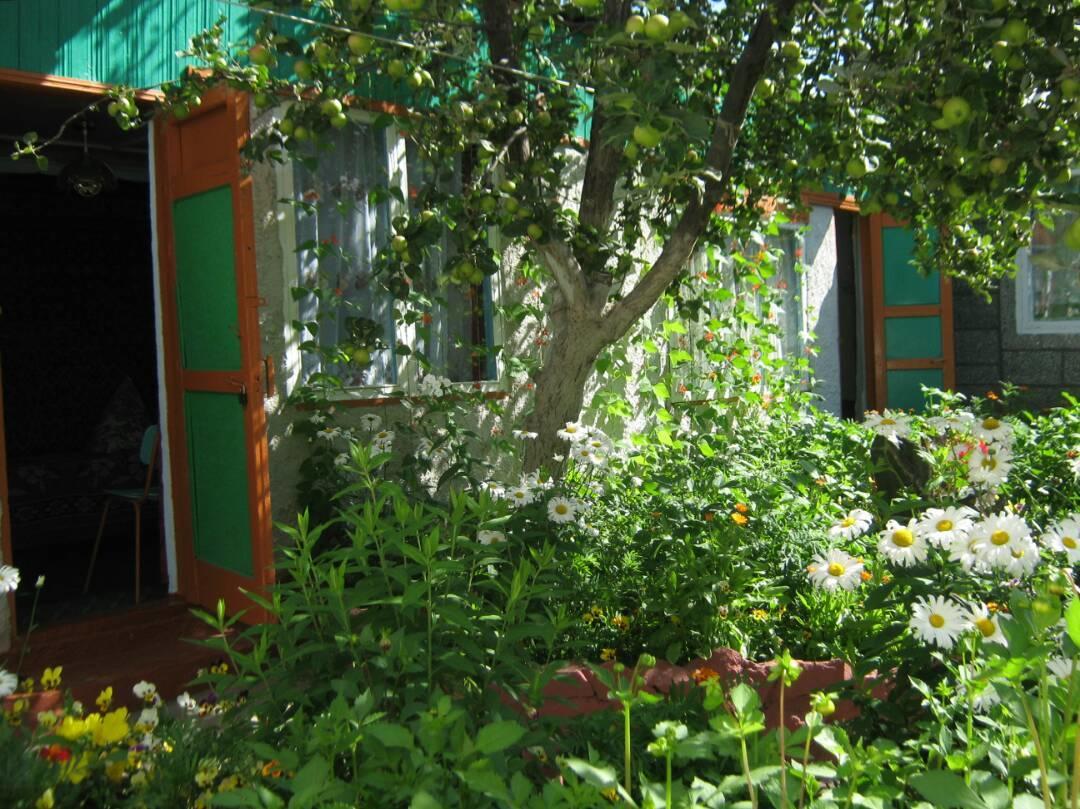 Olga Guest House Cholpon-Ata Eksteriør billede