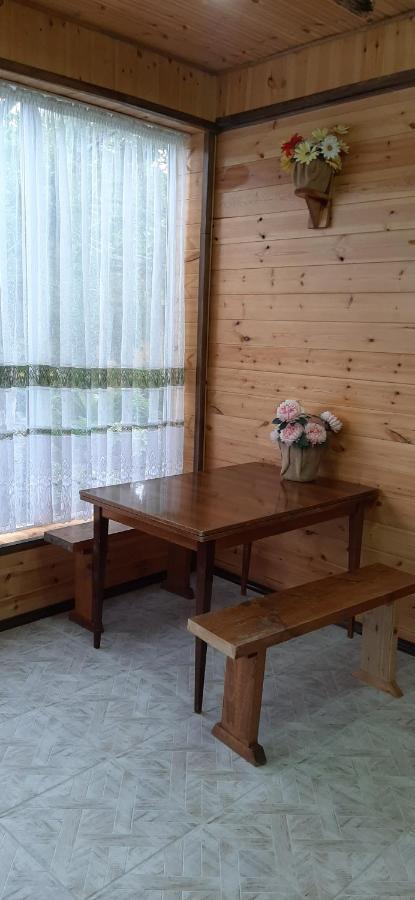 Olga Guest House Cholpon-Ata Eksteriør billede
